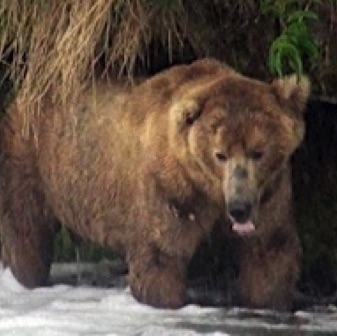 Screen Shot 2016-07-08 at 8.18.56 PM.jpg